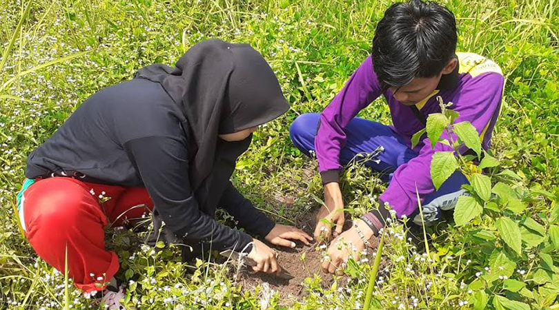 Membaca Arah Kebijakan Gambut 