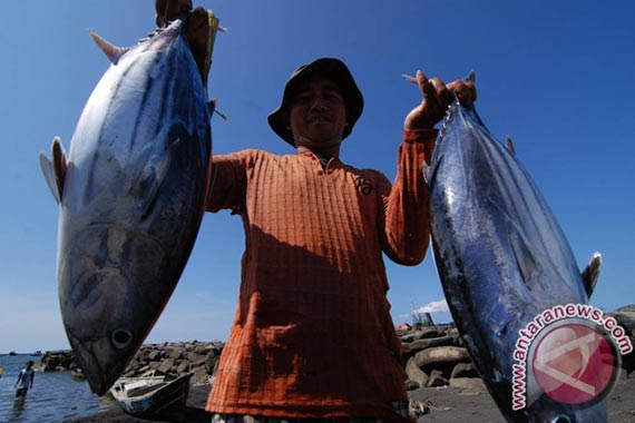 Tanpa Kapal Angkut, Produksi Ikan Menurun Hingga 80 Persen