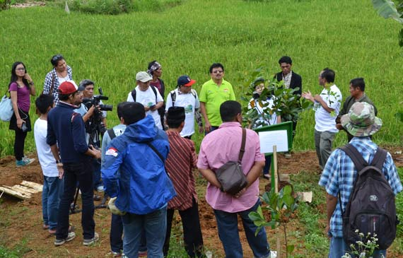 Selamat datang di Tunggilis, ini tempat penanaman pohon