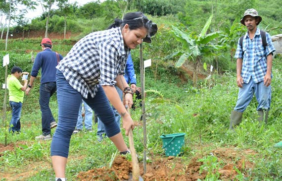 Melani Subono tak sabar ikut mencangkul sendiri, seru