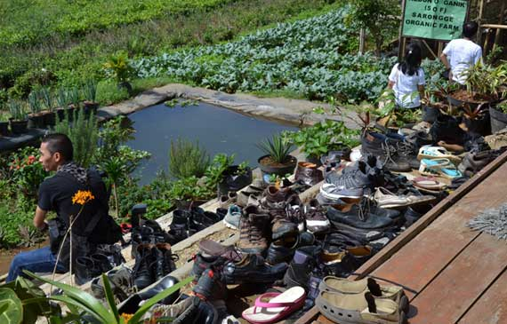 Ada banyak tamu yang hadir di Bincang Hutan di Saung Sarongge