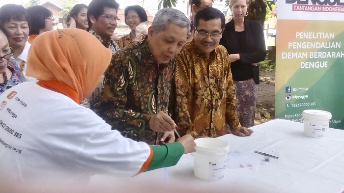 Nyamuk Aedes aegypti berwolbachia Diyakini Mampu Atasi Virus Zika