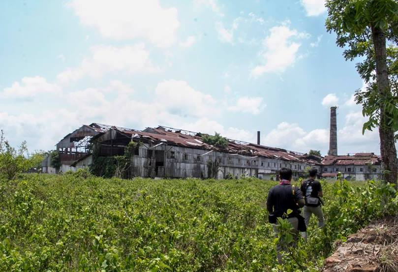   Kadung Dirobohkan, Cagar Budaya PG Kalibagor Banyumas Akan Dibangun Lagi