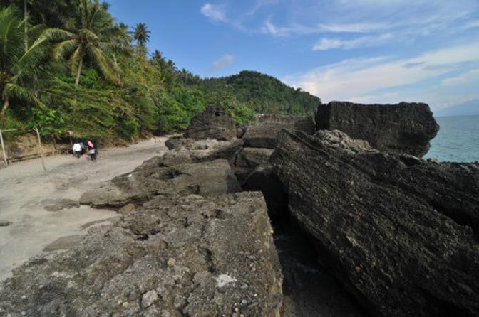 Walhi Jatim: Tolak Penambangan Pasir Laut di Banyuwangi 