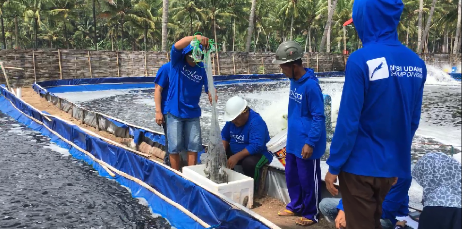 Anggota GrowPal semuanya anaka muda. Latarbelakang pendidikan mereka kebanyakan perikanan.
