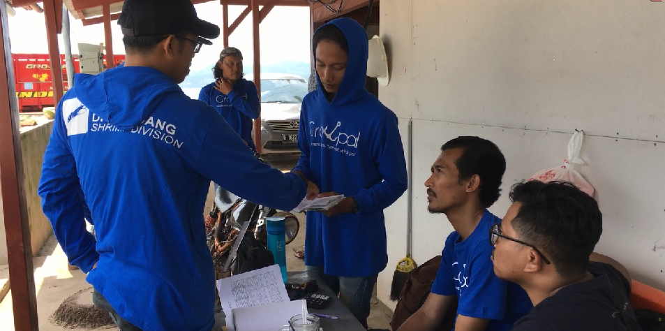 GrowPal merupakan bisnis perikanan go online. Berbasis aplikasi, GrowPal mencari investor untuk kemu