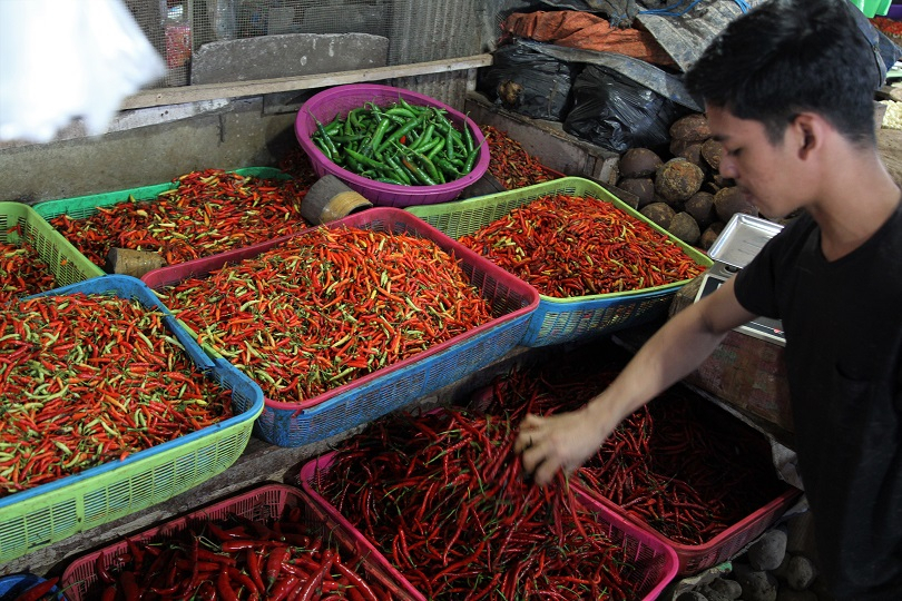 Petani Cabai Pemalang Keluhkan Mahalnya Harga Pupuk dan Obat Hama