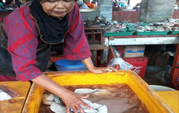 BBM Naik, Harga Ikan di Rembang Ikut Melambung 