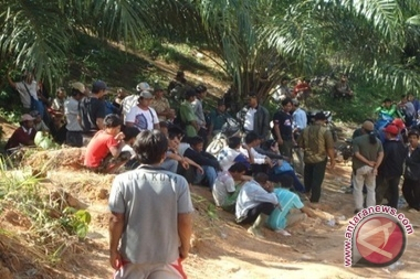 Dipecat Perusahaan Kelapa Sawit, Ratusan Warga NTT Telantar Di Palangkaraya