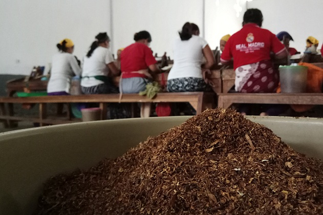 Industri Rokok Bertarung, Anak Mati di Tengah-tengah