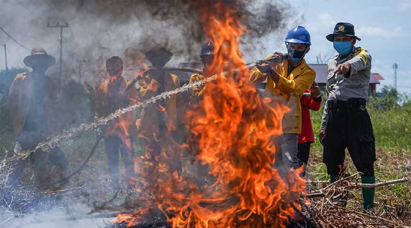 Anak Muda Penjaga Gambut 