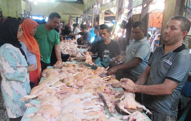 Rencana Kenaikan PPN, Pemerintah Tak Memikirkan UMKM dan Daya Beli Masyarakat?