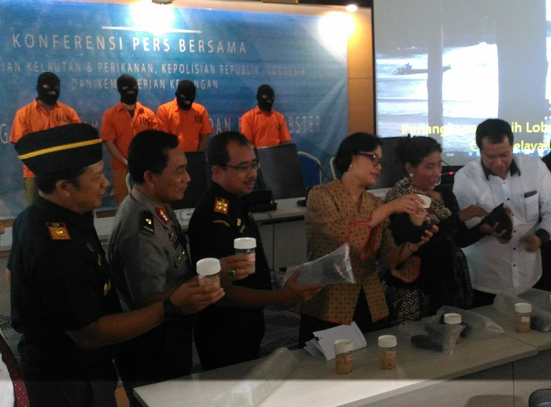 Pemerintah Gagalkan Penyelundupan Benih Lobster Senilai Puluhan Miliar