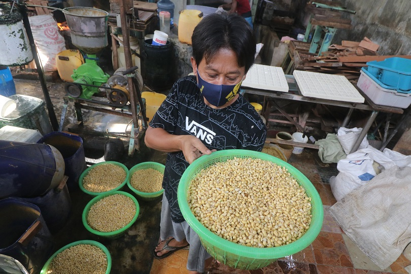 Kapan Harga Kedelai Turun? Ini Prediksi Kemendag