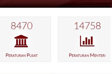 PSHK: RUU Omnibus Cipta Kerja Justru Lahirkan Lebih Banyak Aturan Turun