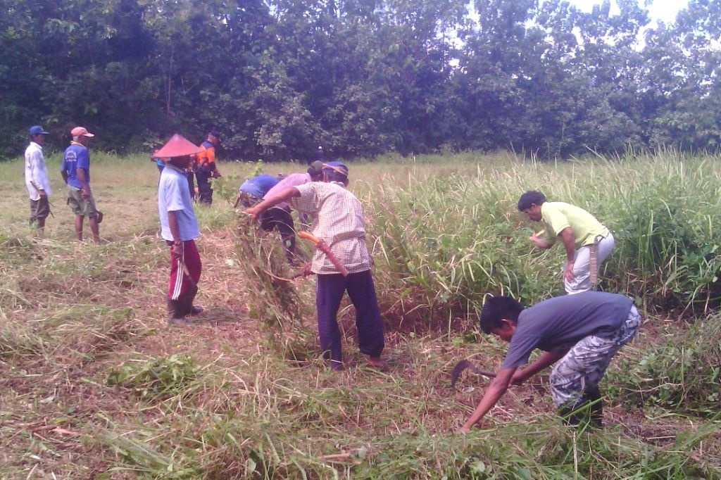 BPBD Cilacap  Siapkan Huntara Bagi Pengungsi Korban Longsor  