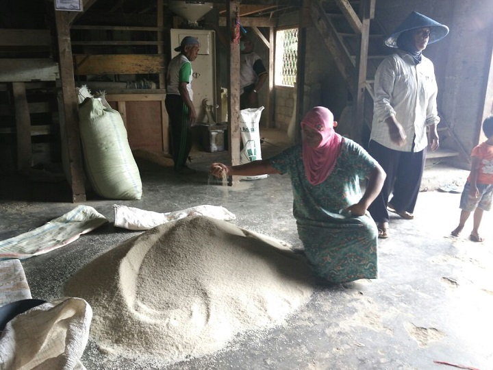 Tak Ada Lumbung Padi, Petani Rejang Lebong Pilih Hutang Beras
