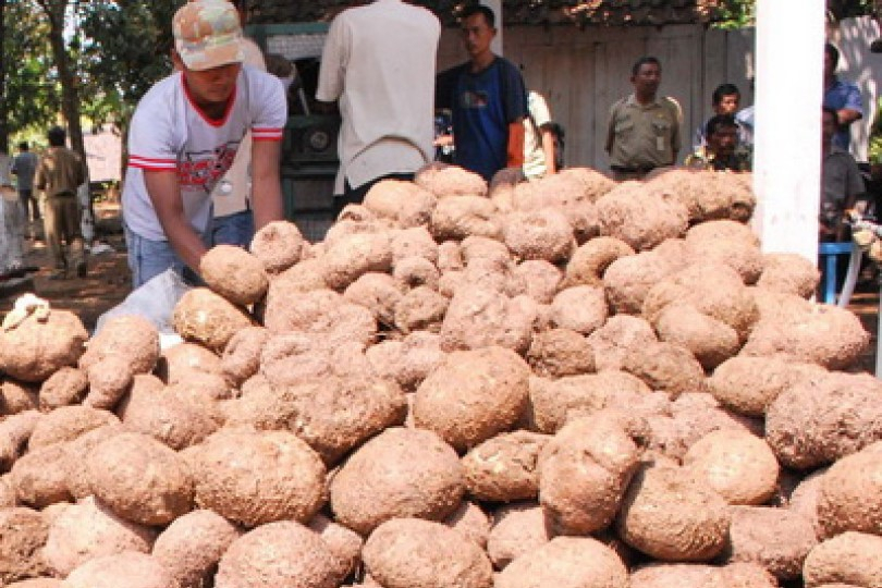 BI: Harga Komoditas Masih Akan Melambung