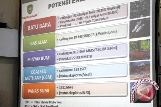 Tunda Pungatan Dana Ketahanan Energi, Pengamat : Pemerintah Sudah Tepat