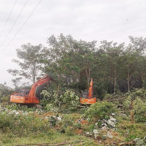 Pemprov Sumut Desak Pemkab Langkat Tuntaskan Konflik Lahan di Desa Mekar Jaya