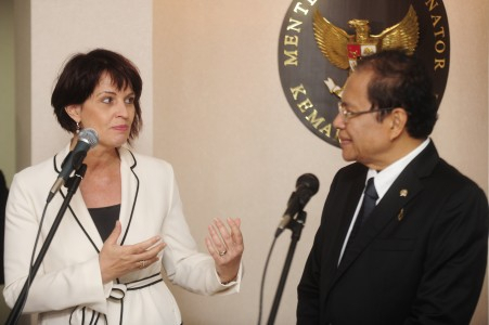Swiss Berencana Bangun Pabrik Panel Surya di Indonesia
