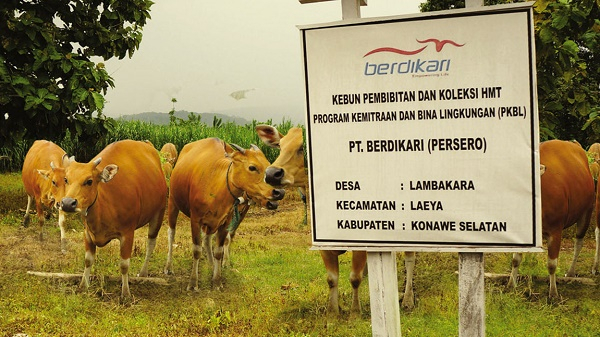 Berdikari Bantah Jual Daging Beku Kadaluarsa