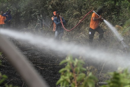Karhutla, BNPB: 280 Titik Panas Terpantau di Sumatera dan Kalimantan  