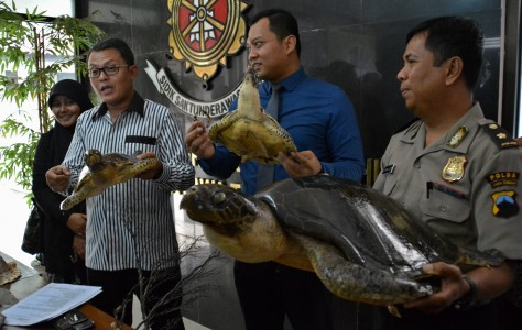 Kepolisian Jateng Sita Ratusan Satwa Dilindungi 