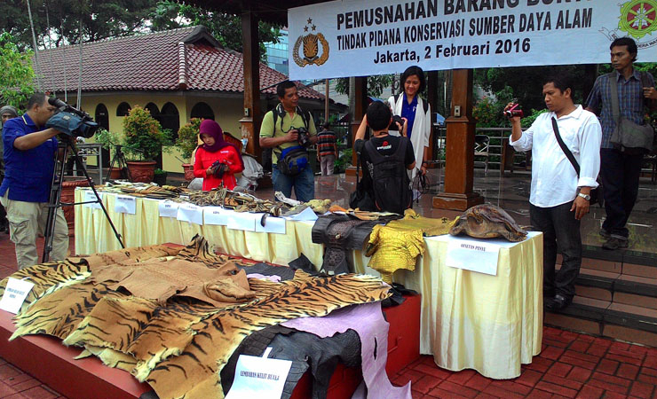 Bareskrim Musnahkan Puluhan Bagian Tubuh Satwa Langka