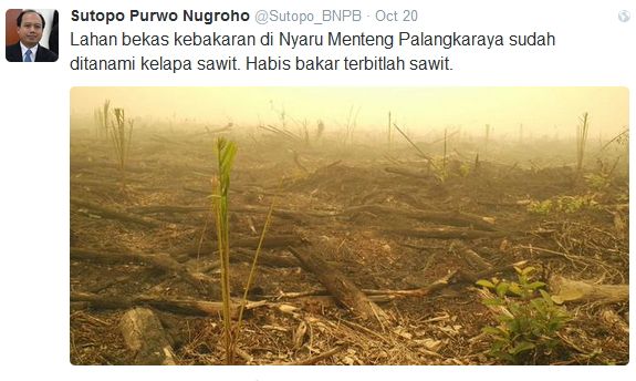 RUU Cipta Kerja Hapus Tanggung Jawab Pengusaha atas Karhutla