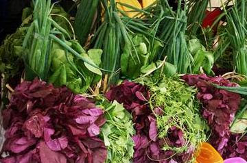 Ini Keuntungan Gaya Hidup Vegan dan Vegetarian 