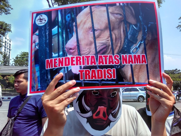 Tolak Tradisi Adu Bagong,  Aktivis Demo Pemprov Jabar 