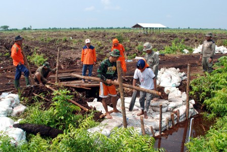 109 Perusahaan HTI Diminta Merestorasi Lahan Gambut