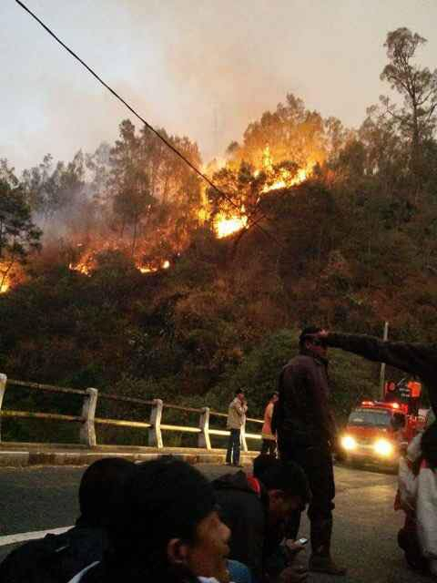 Seratusan Hektare Lahan di Gunung Semeru Musnah Terbakar