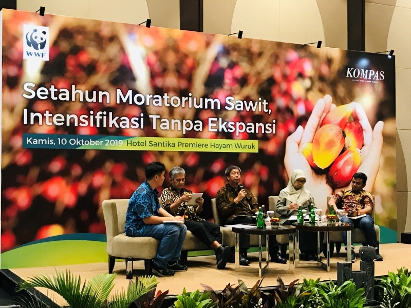 Setahun Inpres Moratorium, Belum Ada Data Akurat Lahan Sawit Nasional