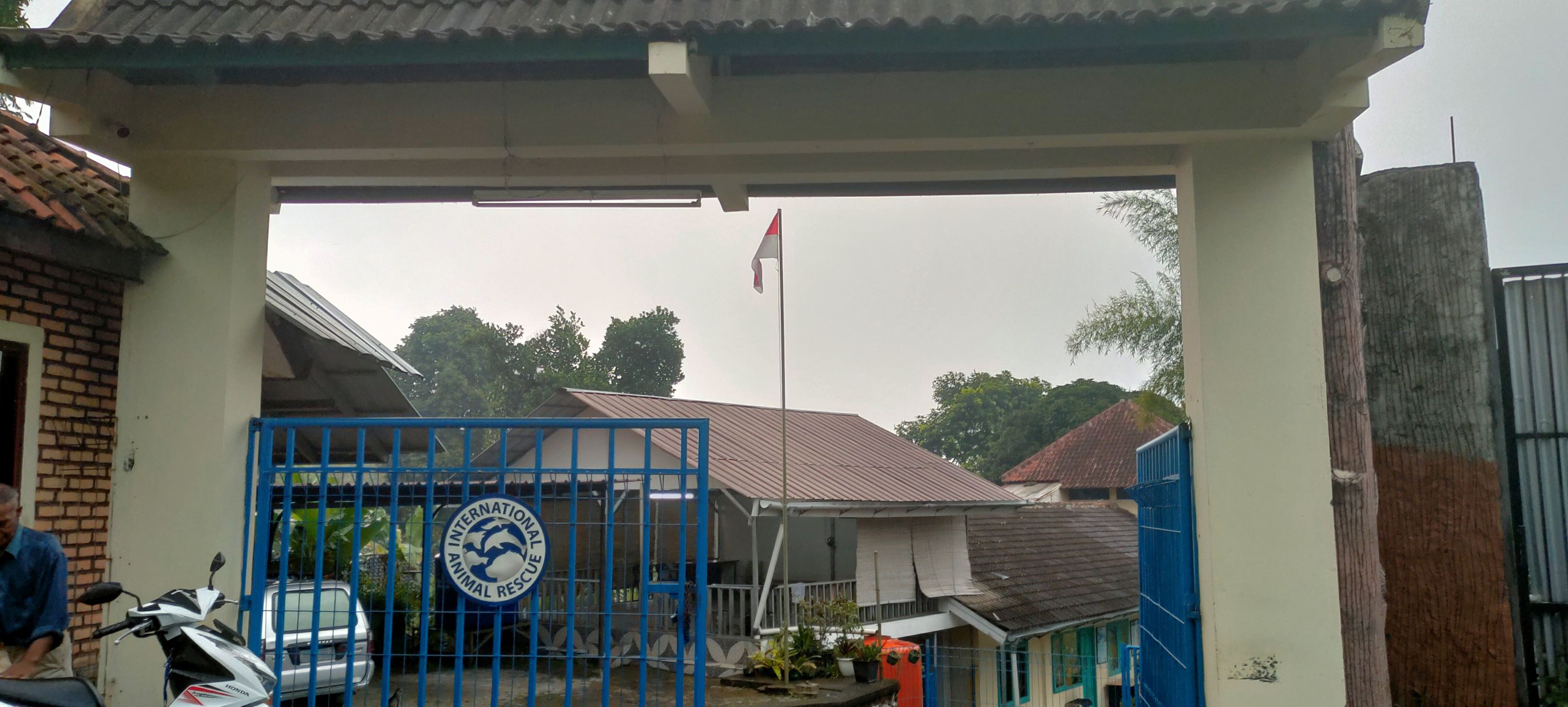 Pelepasliaran Satwa, Mengantar Kukang Kembali ke Alam 