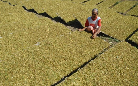 BI: Tiongkok Jadi Parameter Pertumbuhan Ekonomi  