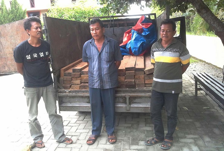 Aparat Tangkap 3 Tersangka Pembalakan Liar di Taman Nasional Gunung Leuser