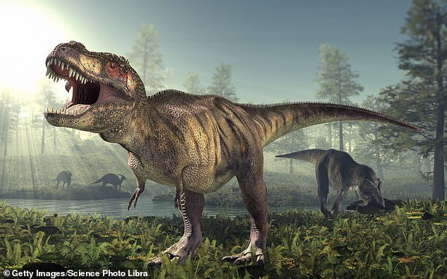 Ini Fungsi Tangan'Mungil' T-rex
