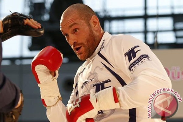 Tinju: Welder Ingin Lawan Tyson Fury