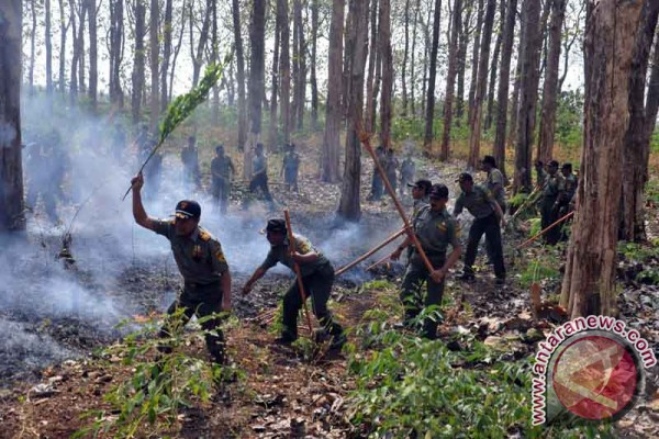Karhutla Hanguskan 65 Hektar Hutan Jati Baluran