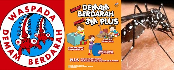 Banyumas Perpanjang Masa KLB Demam Berdarah