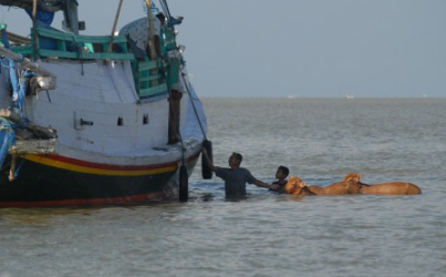 Delapan Korban Kapal di Mentawai Berhasil Diselamatkan