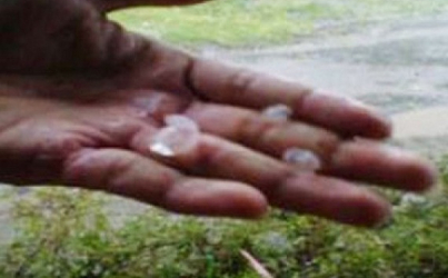 Hujan Es di Bandung, 63 Pohon Tumbang