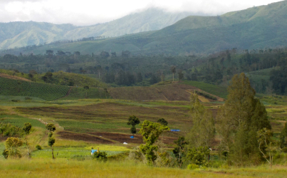 Kaji Ulang Rencana Pembukaan 20 Juta Hektare Hutan