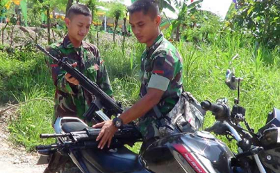 Serangan Babi Meluas, Warga Minta Bantuan TNI