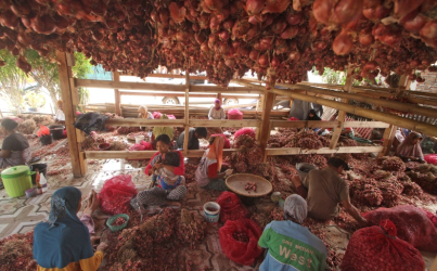 Kenaikan Harga Bawang Merah Tak Semata karena Produksi