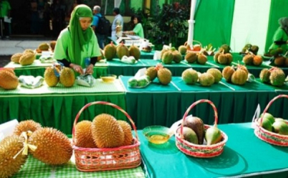 Dinas Pertanian Buka Puluhan Sekolah Lapang Khusus Buah