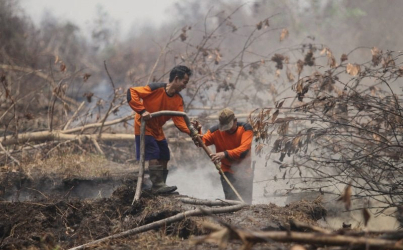 Karhutla di DIY Banyak Disebabkan Pembakaran Sampah
