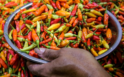 Harga Cabai Merah 54 Ribu per Kilogram